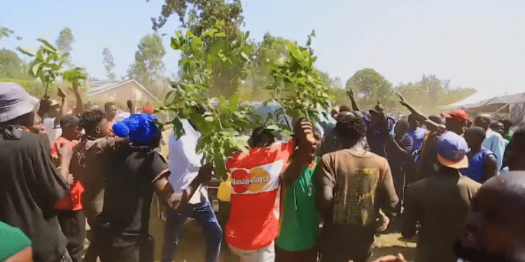 Echesa &Amp; Nabulindo'S Money Returned By Kakamega Family