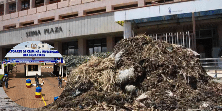 Odpp Directs Dci To Probe Dumping Of Waste At Kplc Premises. Ruto