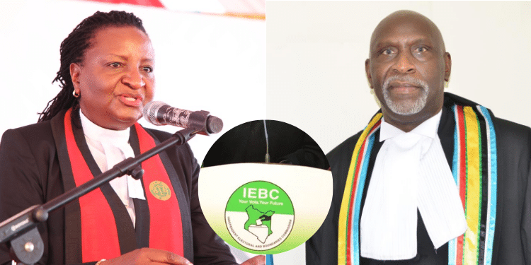 Anne Amadi Among Iebc Chairperson Job Shortlisted Applicants