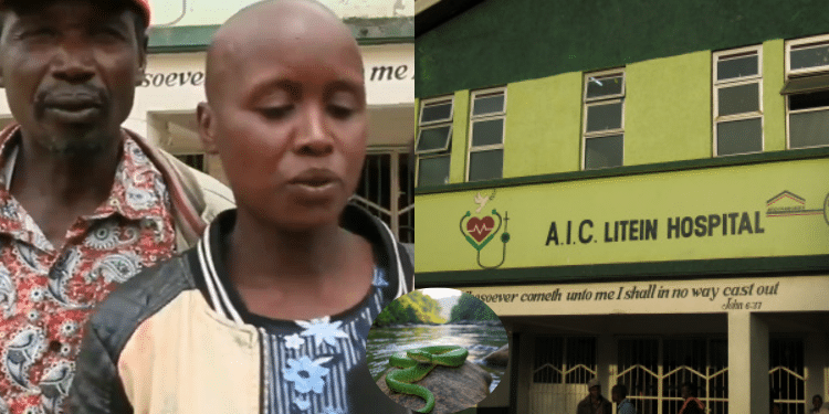 Boy In Critical Condition After Eating Snake Chemogoch Village In Shock As 15-Year-Old Boy Eats Snake