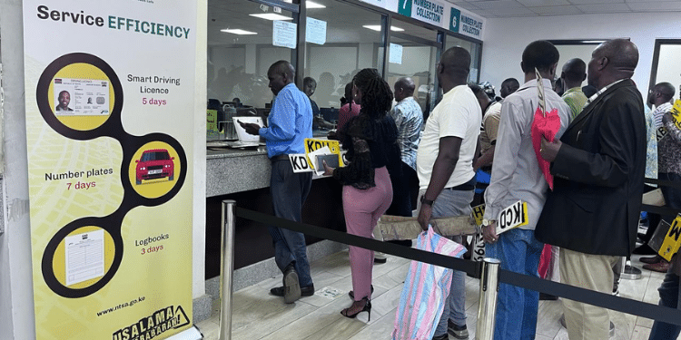 Ntsa Lists Official Contacts For Driving Licenses, Registration And Inspections The National Transport And Safety Authority (Ntsa) Has Published A List Of Official Communication Channels That Transport Operators Can Use In 2026.