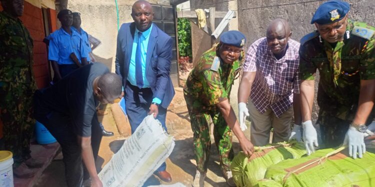 Nacada In Collaboration With A Multi-Agency Team Recovers Drugs In A Crackdown In Kisii On April 2, 2025. Photo/ File