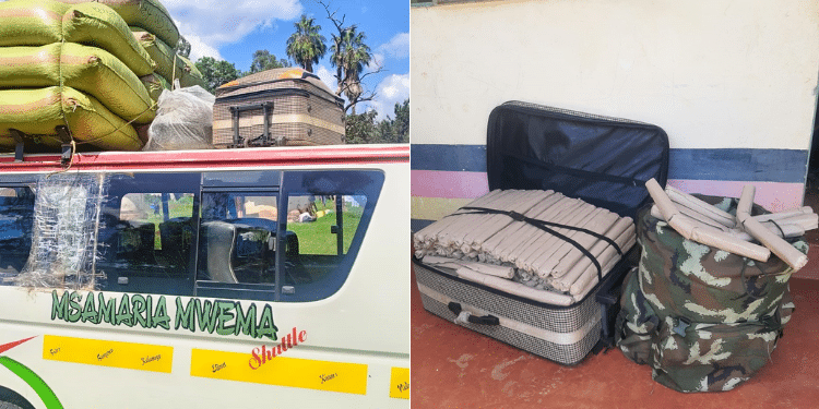 Matatu Carrying Students Intercepted With Bhang Worth Ksh 1M