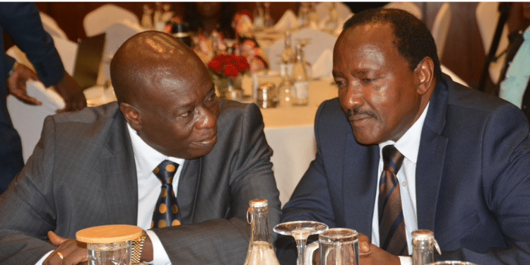 Kalonzo Collapsed During Protests