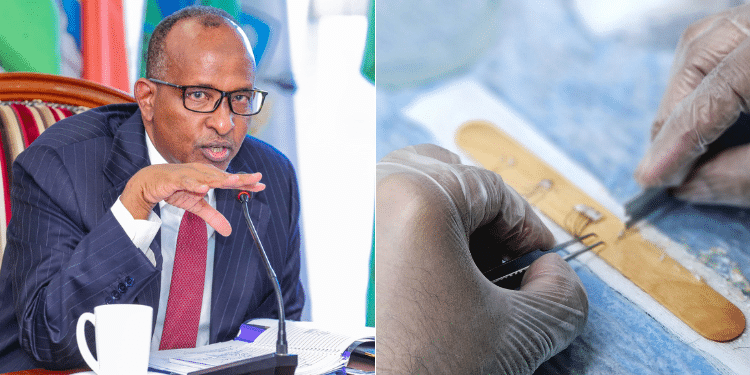Duale Appoints Amoth To New Panel Forms Transplant Committee