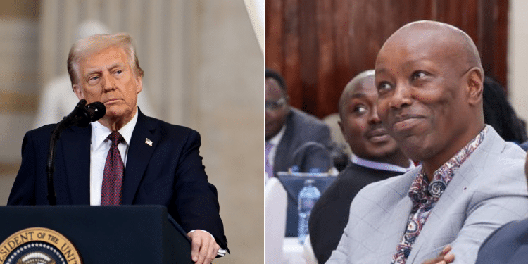 Kenya Explains Benefits Of Trump'S 10% Tariffs On Exports