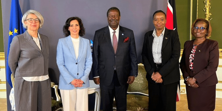 European Union Pledges Support For Kenya'S Plan To Take In Sudan Refugees The European Union Has Expressed Support For Kenya’s Leadership In Regional Peacebuilding And The Country'S Crucial Role In The Sudan Crisis.