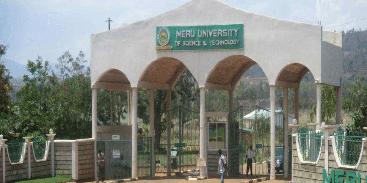 Meru University: Courses Offered, Fees, Location, &Amp; Campuses