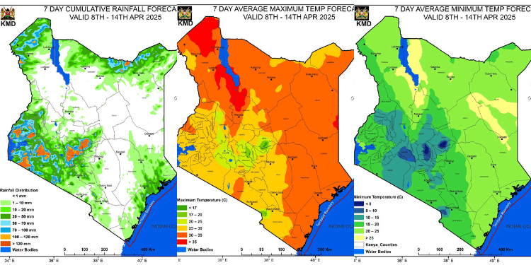 Kenya Met List Regions Set To Receive Heavy Rains And Thunderstorms In 2Nd Week Of April A Photo Collage Showing The Rainfall Forecast, And The Maximum And Minimum Temperature Forecasts For The Period Between April 8Th And 14Th. Photo: Kenya Met.