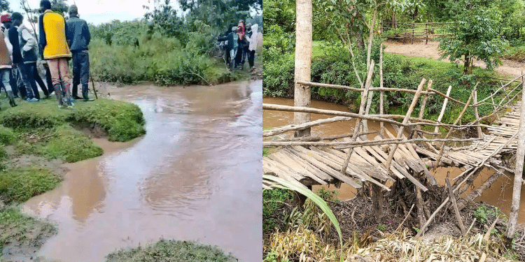 A Collage Of A Section Of Lelaitich River And A Wooden Bridge In Sise River Photo/ Caleb Ngeno/David Ng’etich