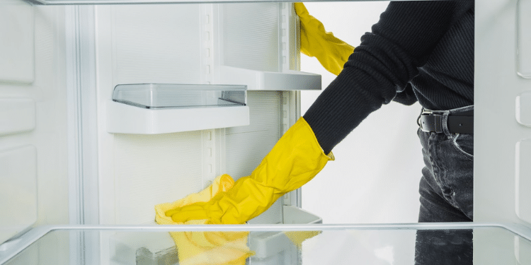 A Woman Cleaning A Fridge Photo/Taskrabbit