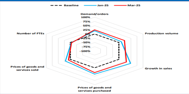 Cbk Explains Why Company Bank Loans Have Increased In 2025 Expectations Of Business Activity In 2025 Q2 (Percent Of Respondents). Photo/Cbk.