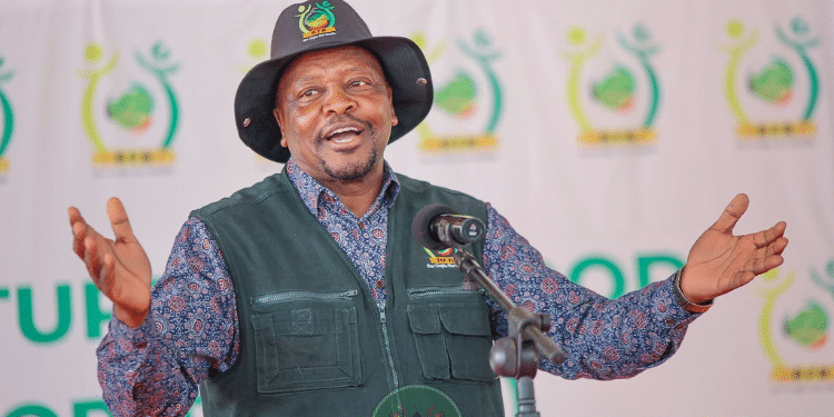 Mutahi Kagwe Sets 30-Day Deadline For Maize Hoarders As Govt Moves To Stabilise Prices