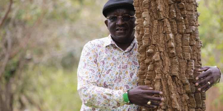 How Kenya Is Losing Ksh900 Billion Yearly As Climate Worsens