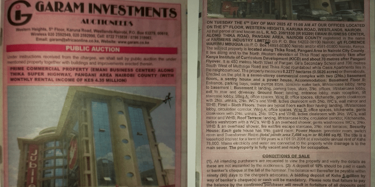 Graham Investment Auctioneers Has Put The Emani Business Centre On Auction Again. Photo/Screenshot Daily Nation.