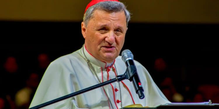 Cardinal Mario Grech. Photo/ Roman Catholic Archdiocese Of Manila. Pope Francis