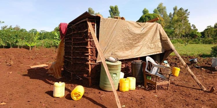 A Makeshift Structure Patched Together With Sticks, Mud, And Plastic Sheeting 
