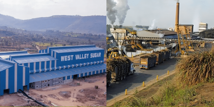 Billionaires Who Own Sugar Companies In Kenya