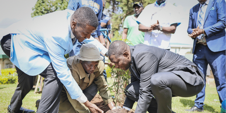Ps Oluga Recalls Perfoming 200 Caesarean Sections As Intern