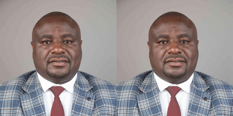 Thaddeus Kithua Profile: Educational Background, Career, Family And Networth