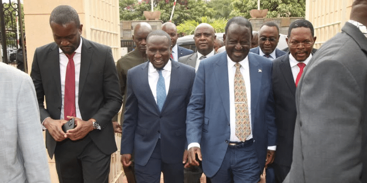Raila Odinga Proposes More Powers For The Senate