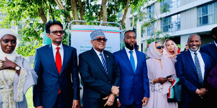 Somaliland Launches Nairobi Mission Despite Kenya'S Denial