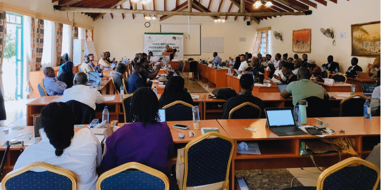 Icpac To Award 2025 Youth For Climate Action Campaign Winners