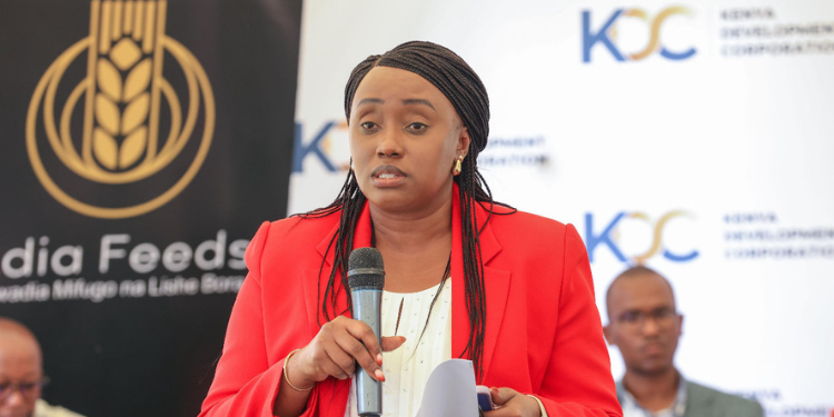 Kenyan Ceos Endorse Move To Create New Rules For Development Finance Institutions Kdc Director General, Norah Ratemo, During A Meeting With World Bank Directors And Their Project Team In Kiambu On May 8, 2025, To Showcase The Success Of The Safer Project. Photo/Kdc.