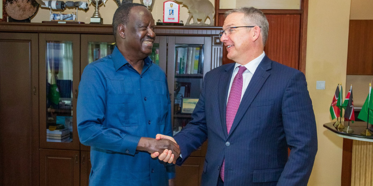Kenya, Us Renew Trade And Security Ties As Dillard Exits