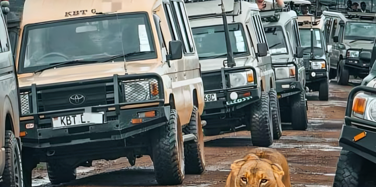 A Fleet Of Tourism Vans At A Game Park In Kenya. 