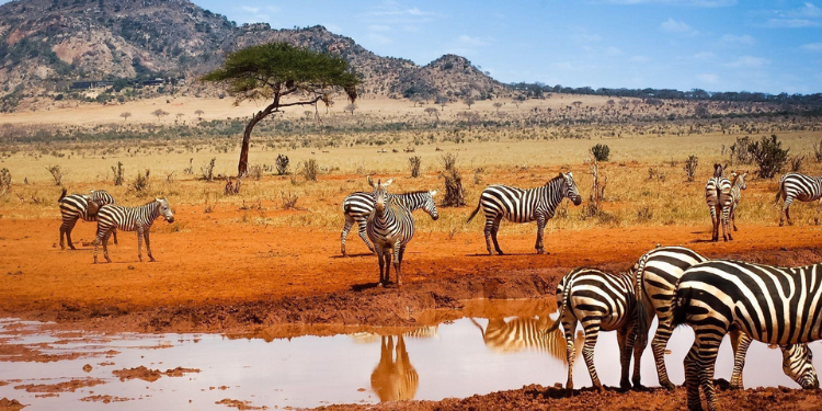 How The New Kws Payment System Works