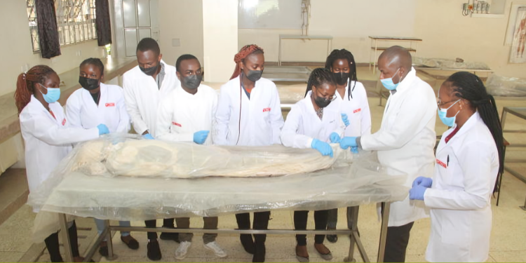 Medical Students In A Learning And Training Environment Photo/Standard