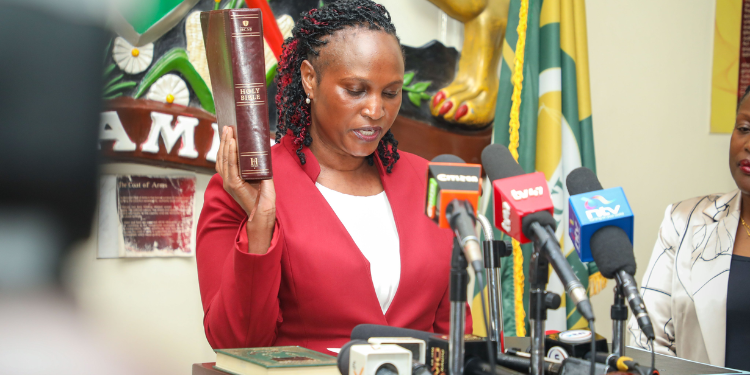 President William Ruto Has Made Nominations To The Office Of The Registrar Of Political Parties