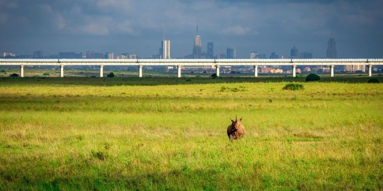 Kenya Wins Ksh 260 Billion International Arbitration Claim Kenya Wins Ksh 260B In Major Global Rail Dispute