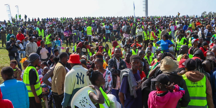 Survival Tactics For Unemployed Graduates In Kenya