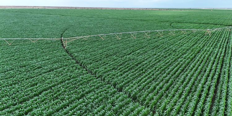 Kenya Gives 180,000 Acres Of Galana Kulalu Land To Uae Based Al Dahra