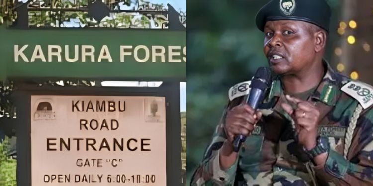 Kfs Assures Public All Gazetted Forests Remain Intact Under Its Management