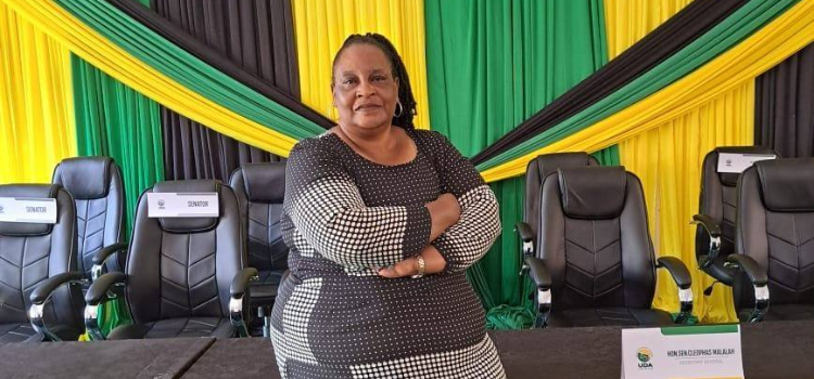 Profile Of Consolata Nabwire, The Newly Nominated Senator Replacing Gloria Orwoba