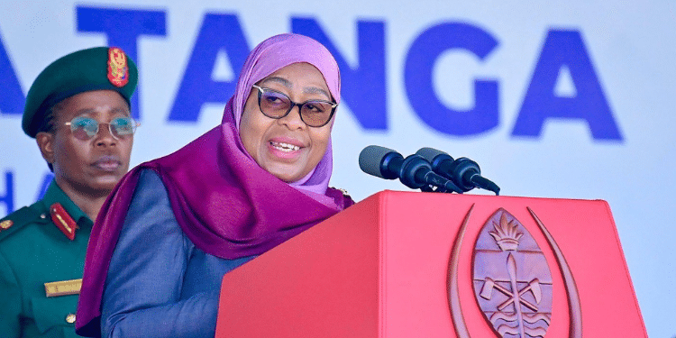 What Tanzania Charges Kenyans For Every Entry Into The Country And Work Permits Tanzanian President Samia Suluhu. Photo/Ikulu Tanzania