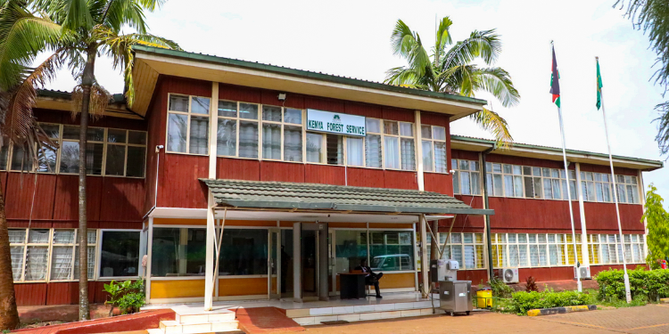 The Kenya Forest Service