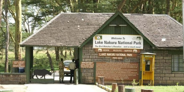 Kws Issues Warning After Fire Incident At Lake Nakuru National Park Kws Issues Warning After Fire Incident At Lake Nakuru National Park