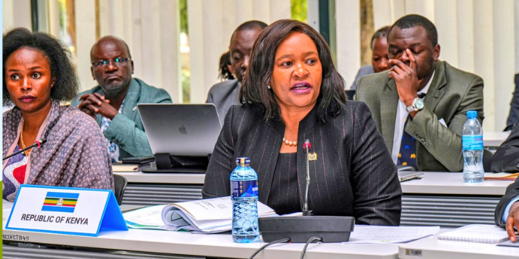 Kenya Warned Over Rising Foreign Investments
