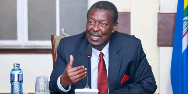 The Seventh Ballot: Why Kenyans Must Decide On The Constitution In 2027