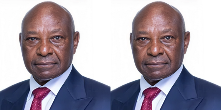 A Photo Collage Of The Britam Non-Executive Director, Jimnah Mbaru. Photo/Britam