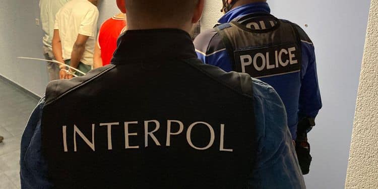 Interpol Police Officers Making An Arrest. Photo/Interpol
