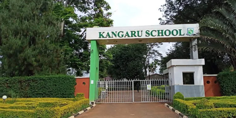 List Of Top Senior Schools Offering Mathematics, Biology And Chemistry Under Cbe Senior Schools Offering Mathematics, Biology And Chemistry