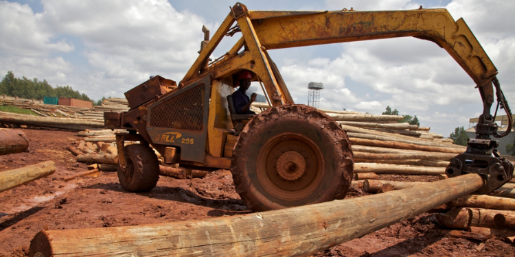 How To Apply For A Forestry Permit From Nema