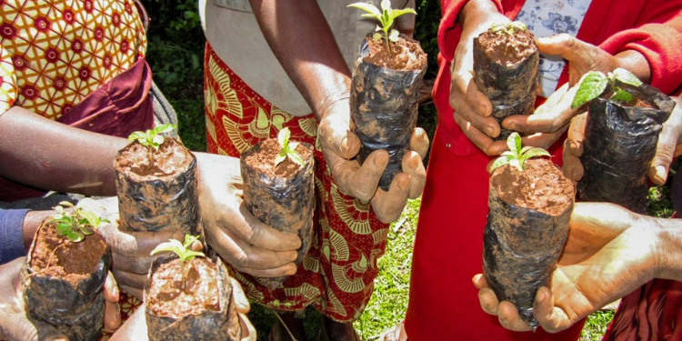 How To Apply For A Biodiversity Conservation Permit