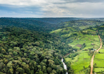 Proper Land Succession Ensures That Families Retain Control Of Their Property And Prevents Illegal Occupation Or Sale.