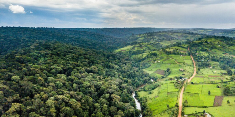 Proper Land Succession Ensures That Families Retain Control Of Their Property And Prevents Illegal Occupation Or Sale.